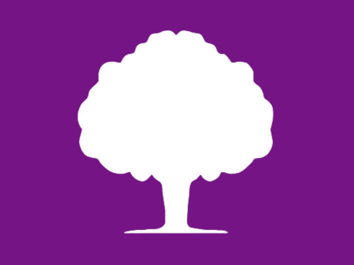 PurpleCV