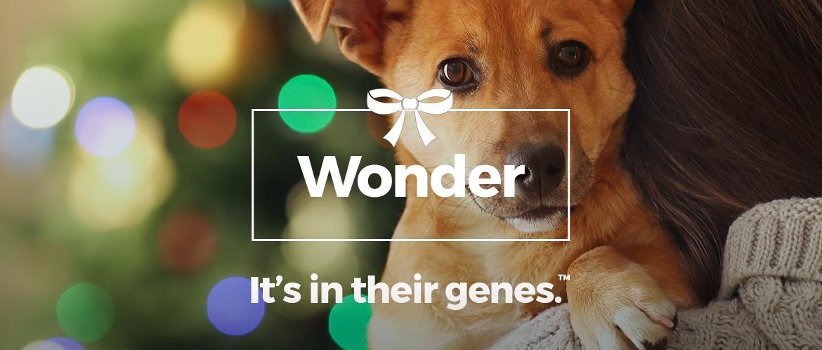 Wisdom Panel